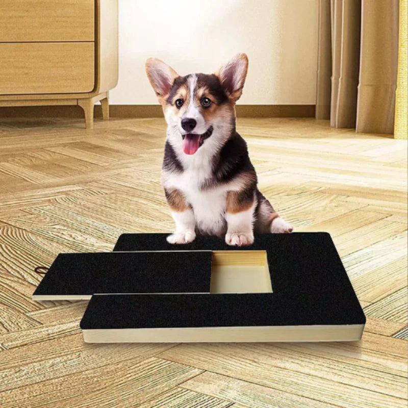Dog Nail Scratch Board with Treat Box