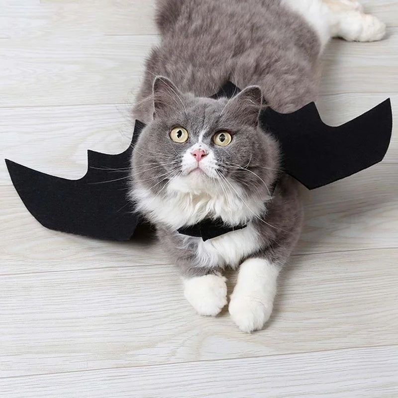 Pet Bat Wings Costume Harness – Halloween Cosplay for Cats & Dogs