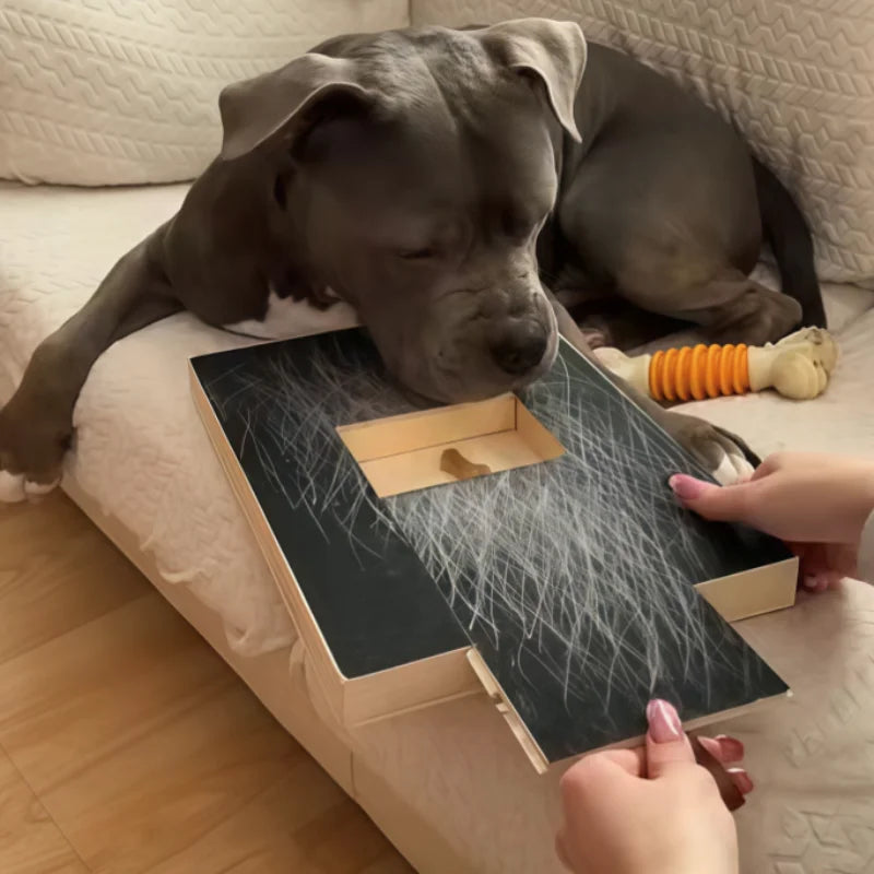 Dog Nail Scratch Board with Treat Box