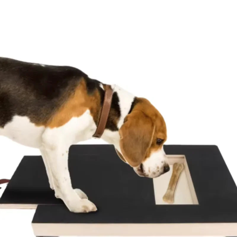 Dog Nail Scratch Board with Treat Box