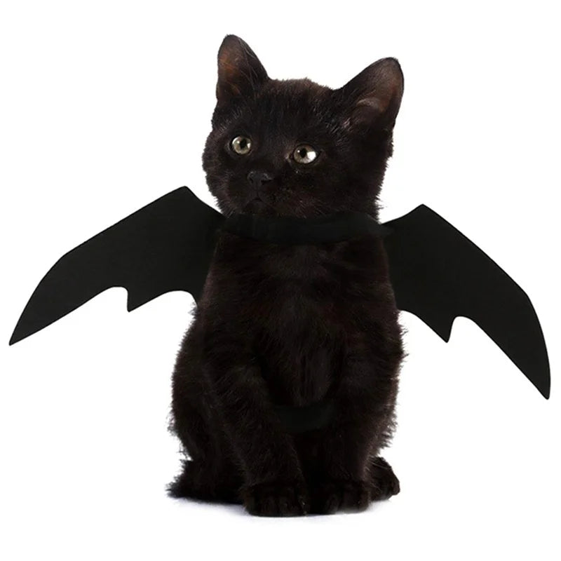 Pet Bat Wings Costume Harness – Halloween Cosplay for Cats & Dogs
